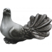 Голубь (№52)